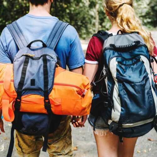 Travel Backpack Image 1